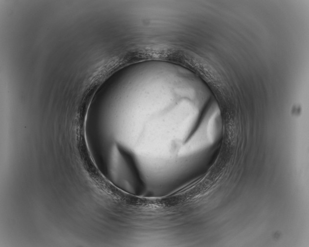 X0000097290594200802291753