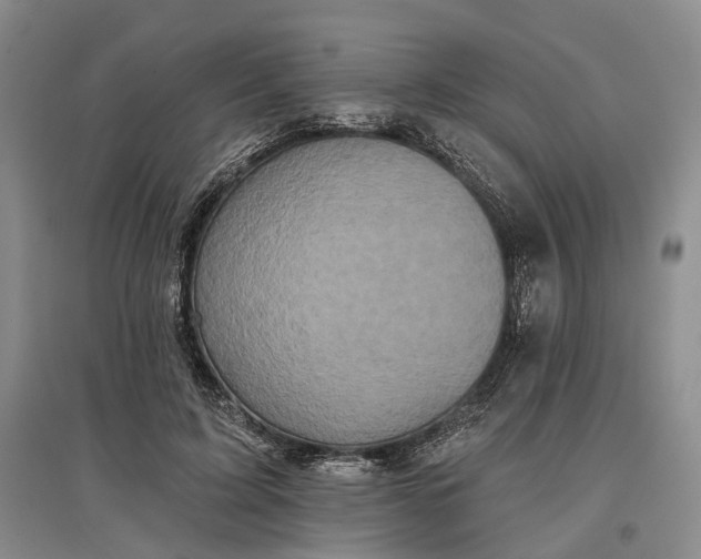 X0000097290595200802291753