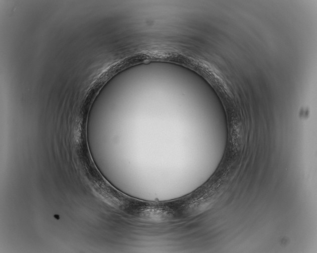 X0000097290596200802291753