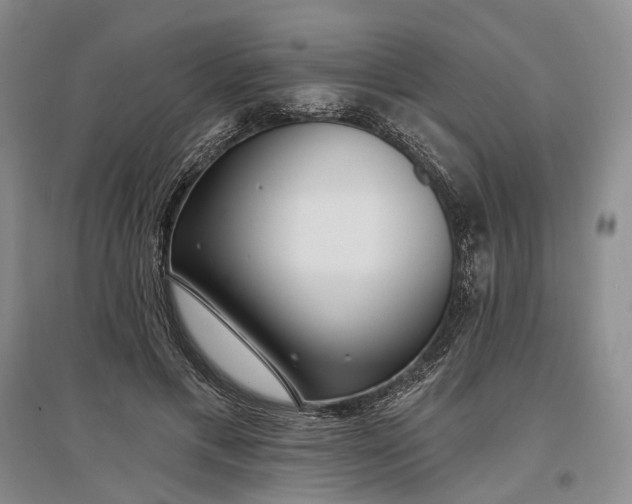 X0000097290597200802291753