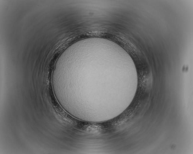 X0000097290599200802291753