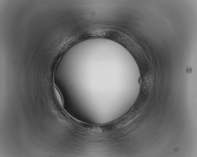 X0000097290600200802291753