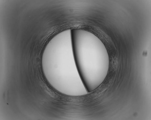 X0000097290601200802291753