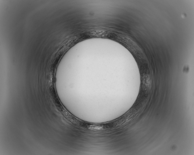X0000097290602200802291753