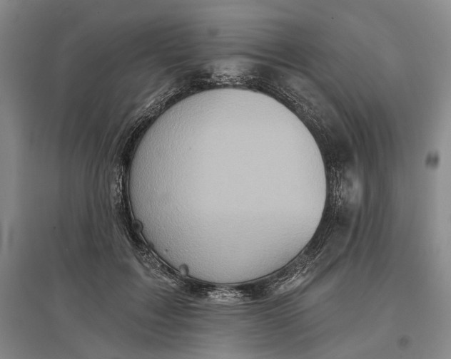 X0000097290603200802291753