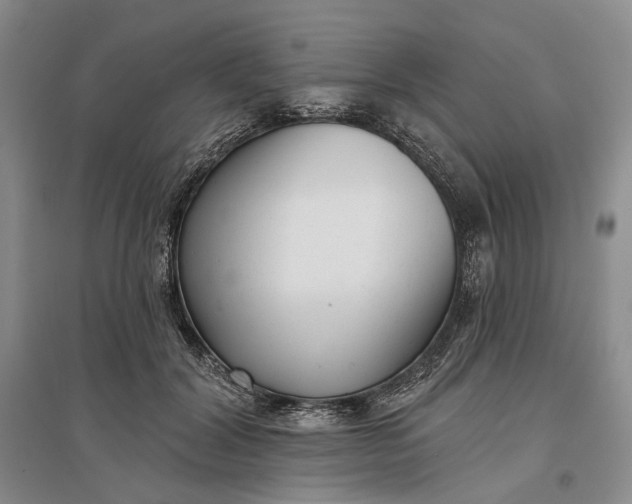 X0000097290604200802291753