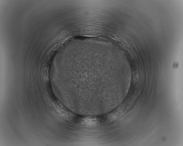 X0000097290606200802291753