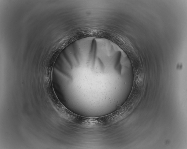 X0000097290607200802291753