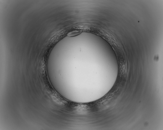 X0000097290609200802291752