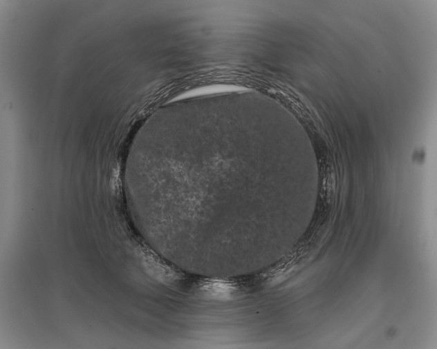 X0000097290610200802291752