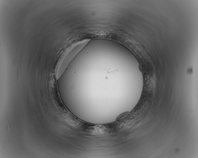X0000097290612200802291752