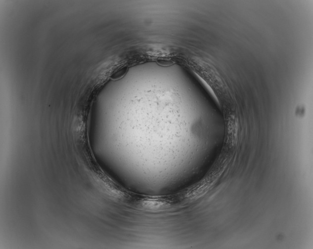 X0000097290614200802291752