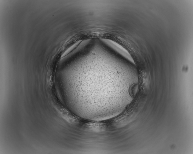 X0000097290615200802291752