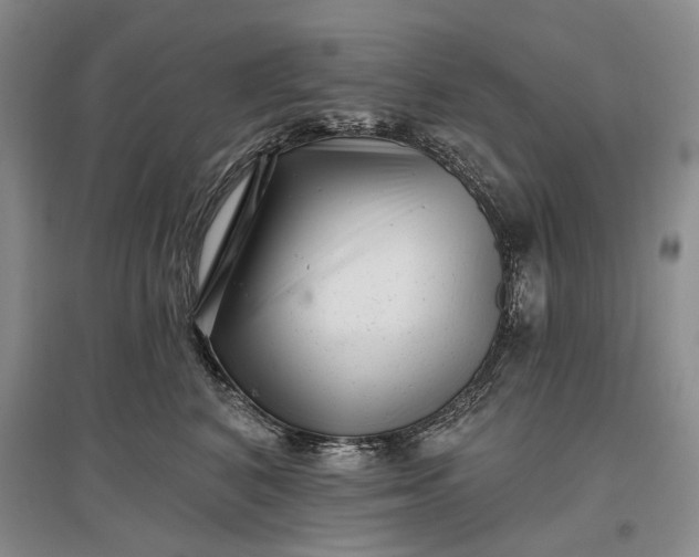 X0000097290616200802291752