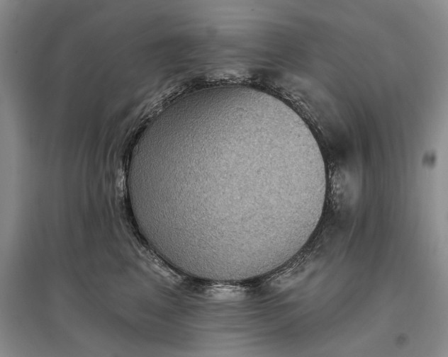 X0000097290617200802291752