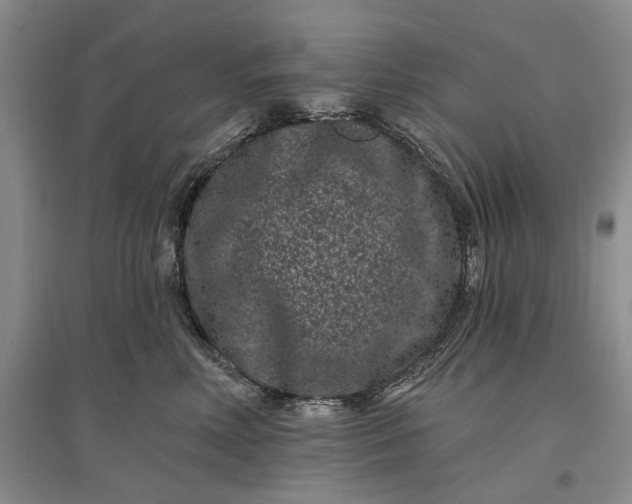 X0000097290618200802291752