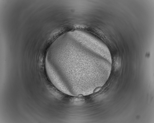 X0000097290619200802291752