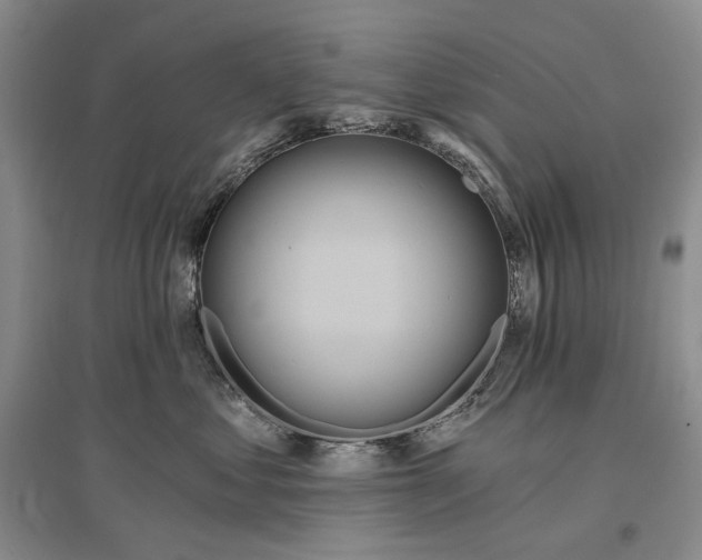 X0000097290621200802291752