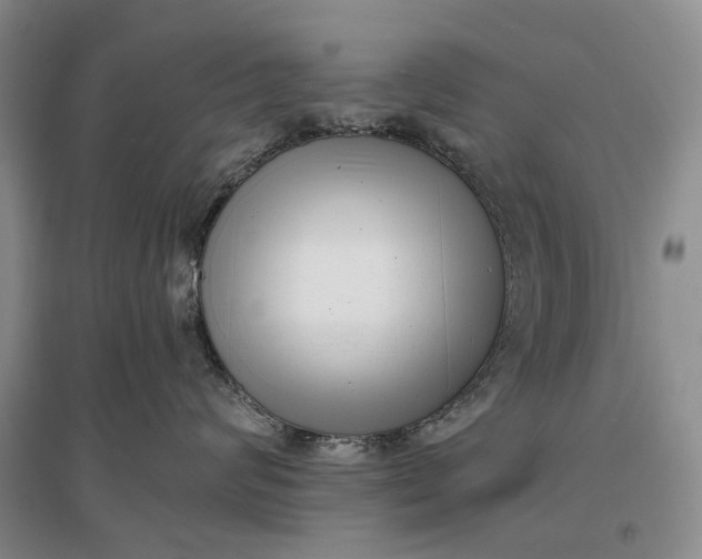 X0000097290624200802291752