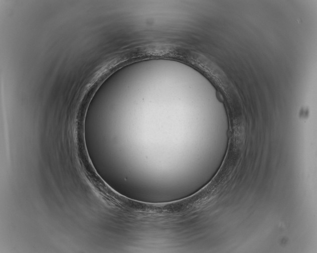 X0000097290626200802291752