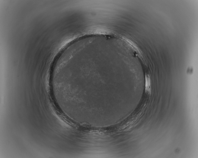 X0000097290627200802291752