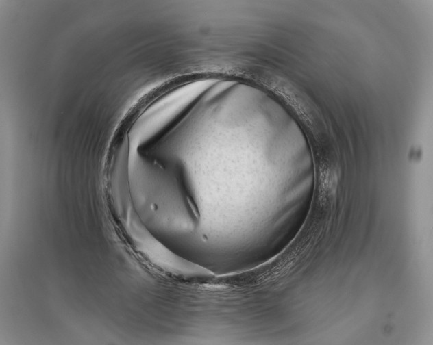 X0000097290628200802291752