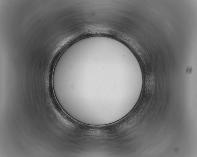 X0000097290629200802291752