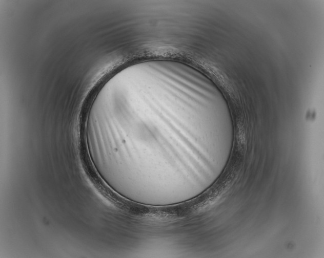 X0000097290630200802291752