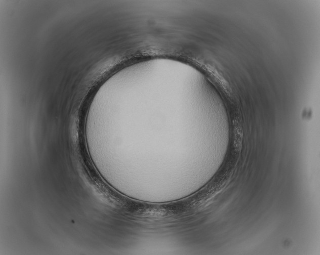 X0000097290631200802291752