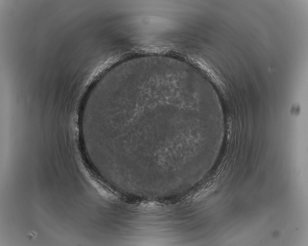 X0000097290634200802291752