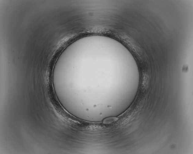 X0000097290636200802291752