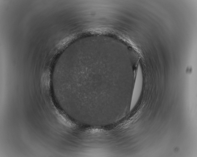 X0000097290637200802291752