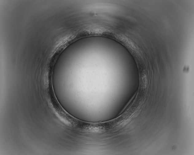 X0000097290638200802291752