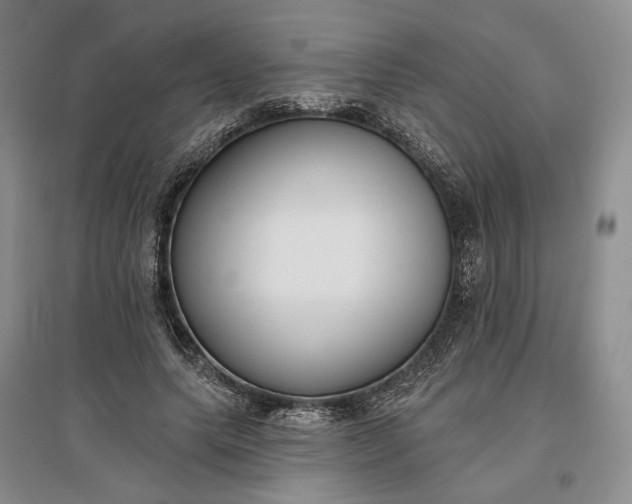 X0000097290639200802291752