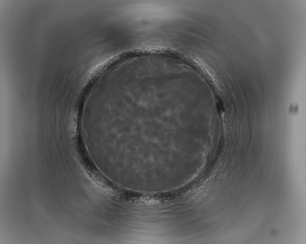 X0000097290640200802291752