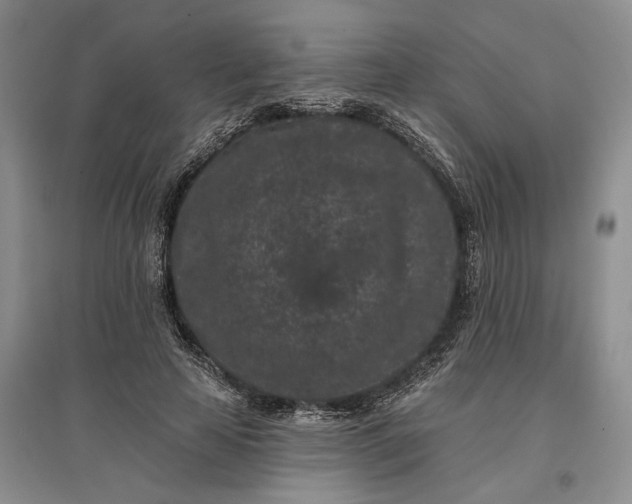 X0000097290641200802291752