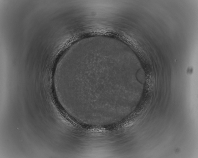 X0000097290642200802291752
