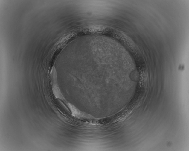 X0000097290644200802291752