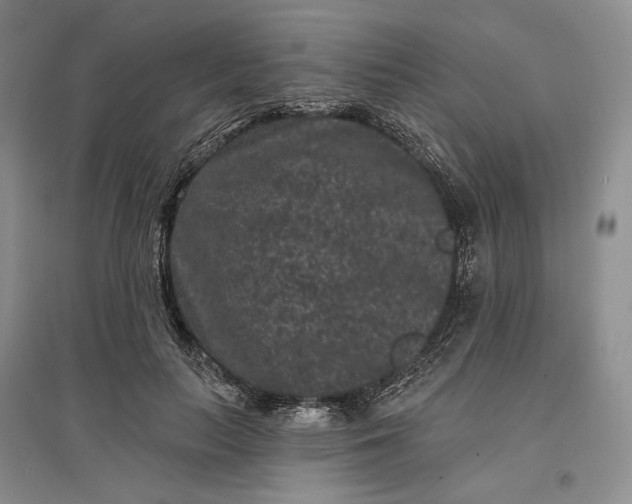 X0000097290647200802291752