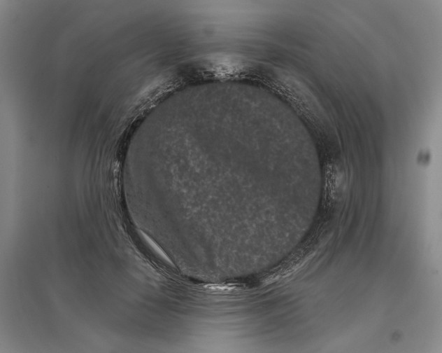 X0000097290650200802291752