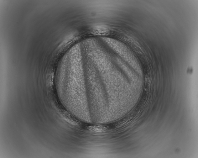 X0000097290652200802291752