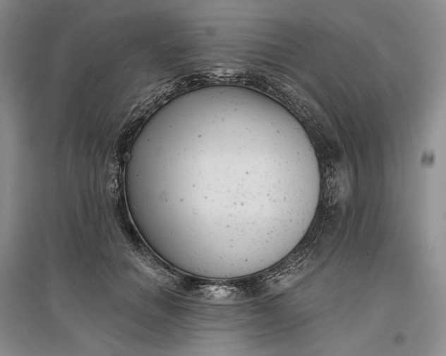 X0000097290654200802291752