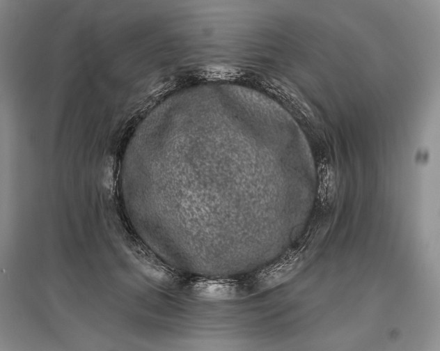 X0000097290655200802291752