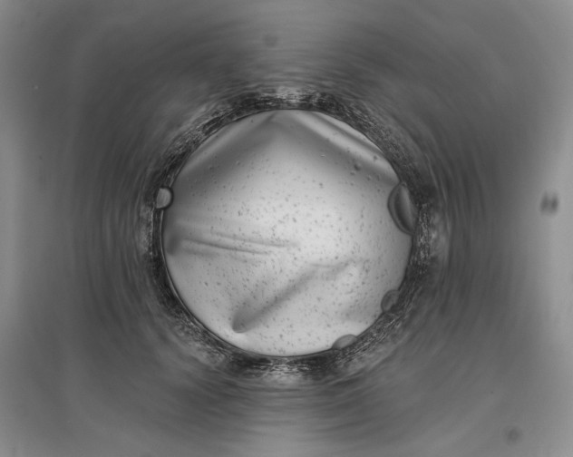 X0000097290656200802291752