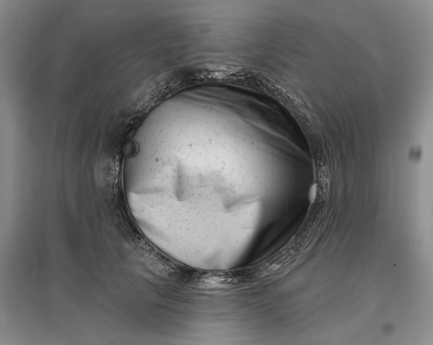 X0000097290657200802291752