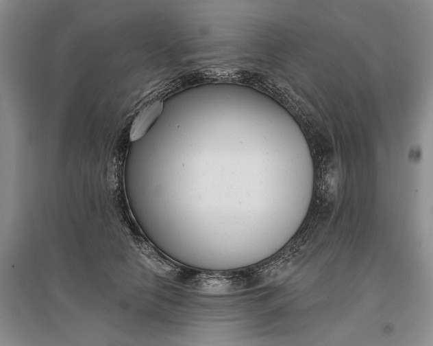 X0000097290658200802291752
