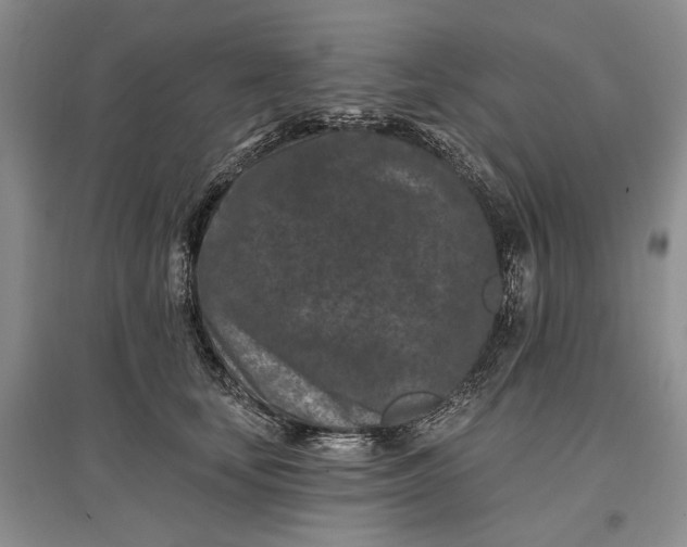 X0000097290659200802291752
