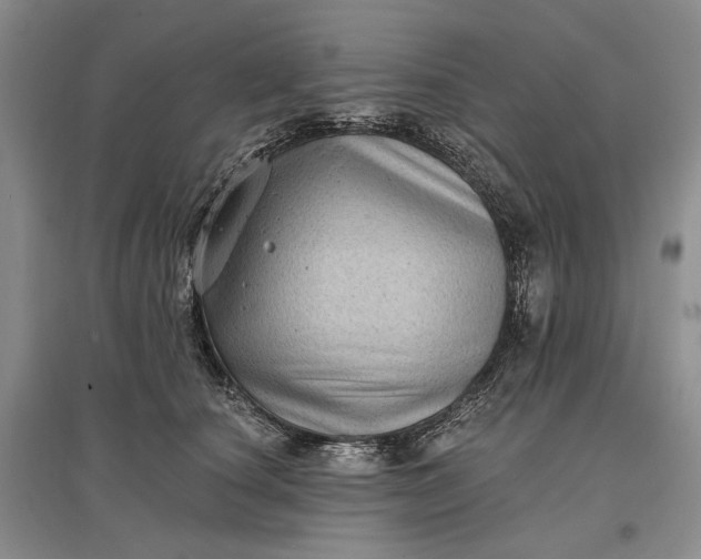 X0000097290660200802291752