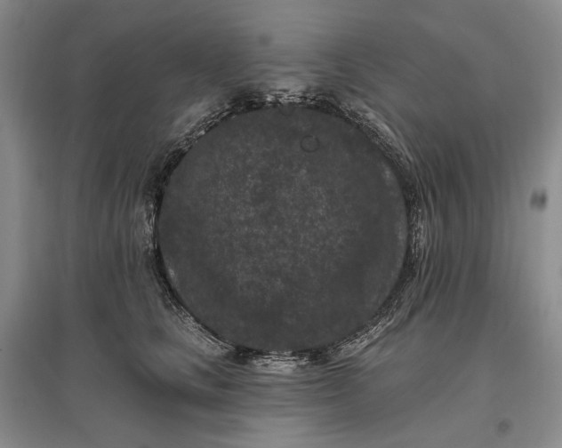 X0000097290661200802291752