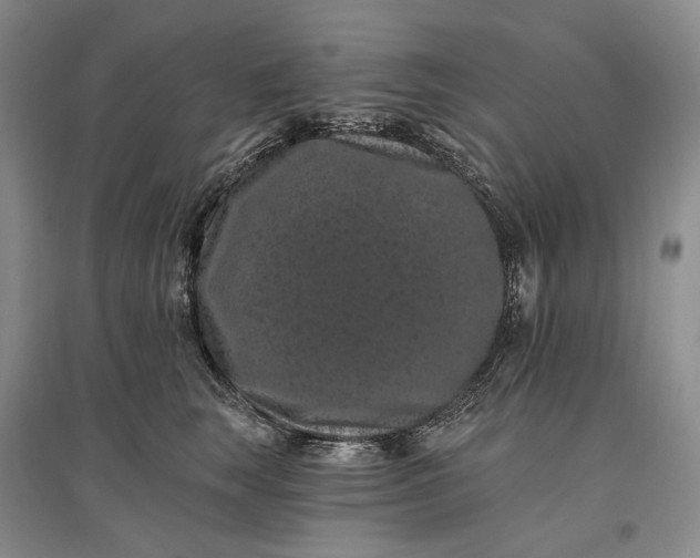 X0000097290663200802291752